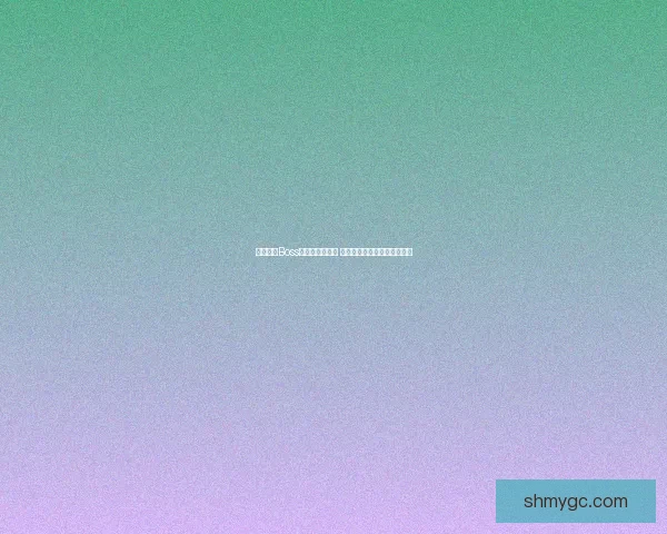 深度剖析Boss击杀策略与技巧 从准备到执行全方位攻略解析