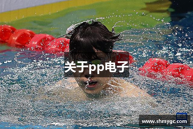 关于pp电子