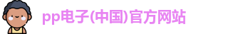 pp电子